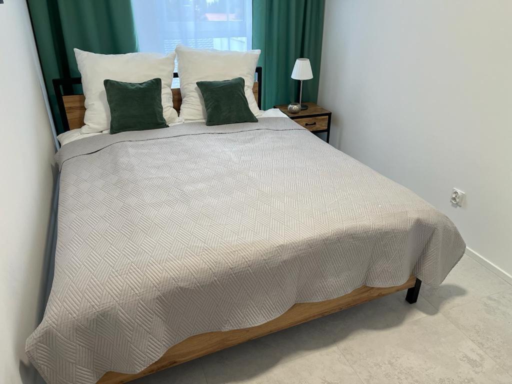 Apartament Zacisze 13 بياسيتشنو المظهر الخارجي الصورة